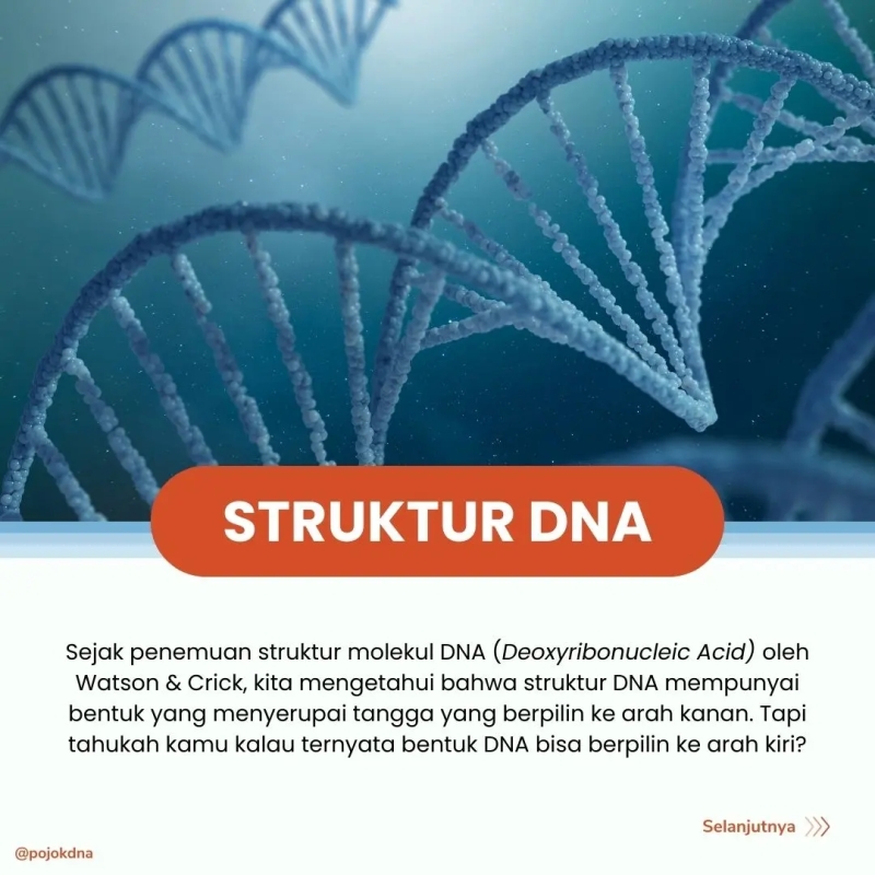 Tahukah kamu kalau orientasi double helix DNA tidak selalu ke arah kanan?